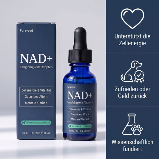 Puraveed NAD+ Langlebigkeits-Tropfen für Hunde – Flasche und Verpackung