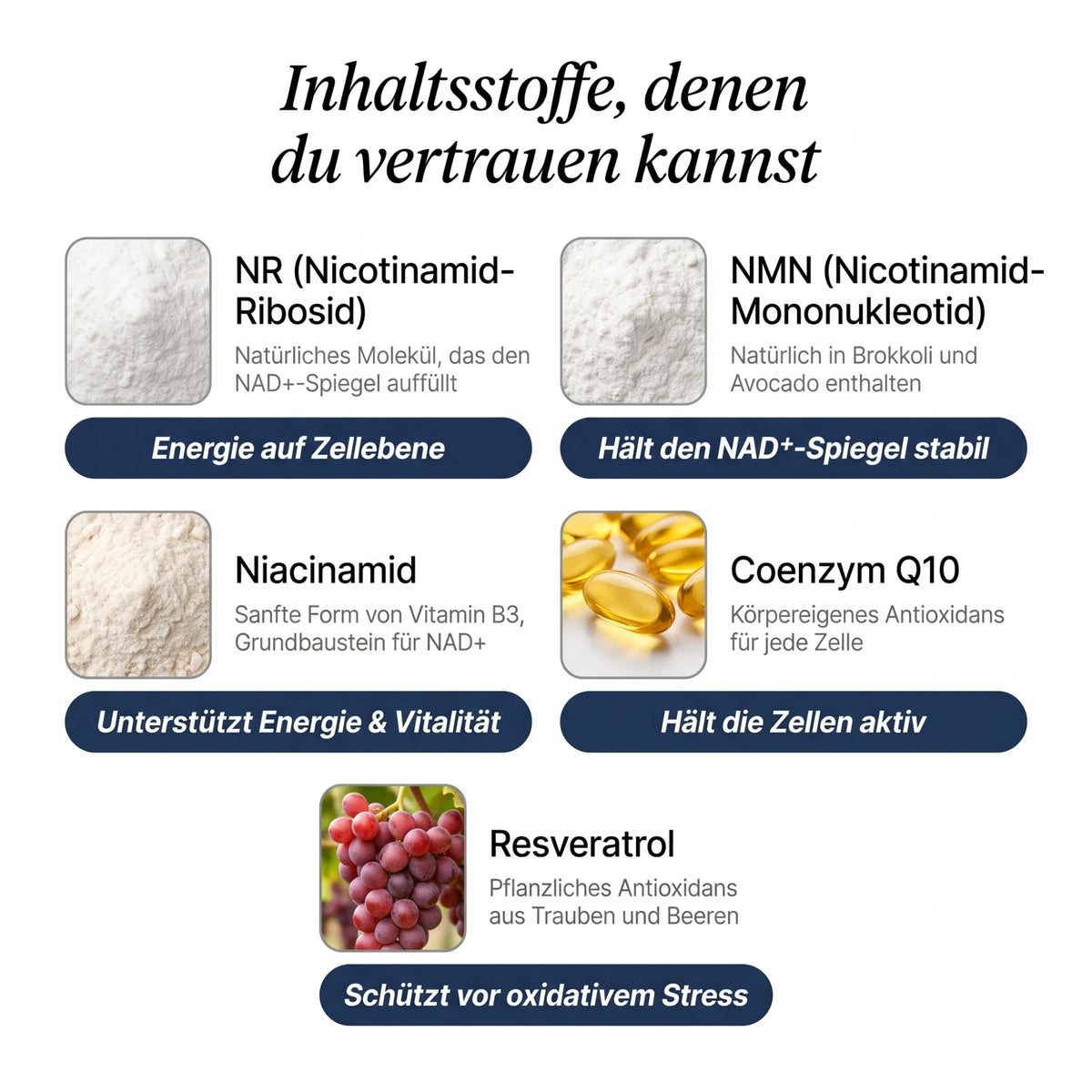 Inhaltsstoffe: NR, NMN, Niacinamid, Coenzym Q10, Resveratrol