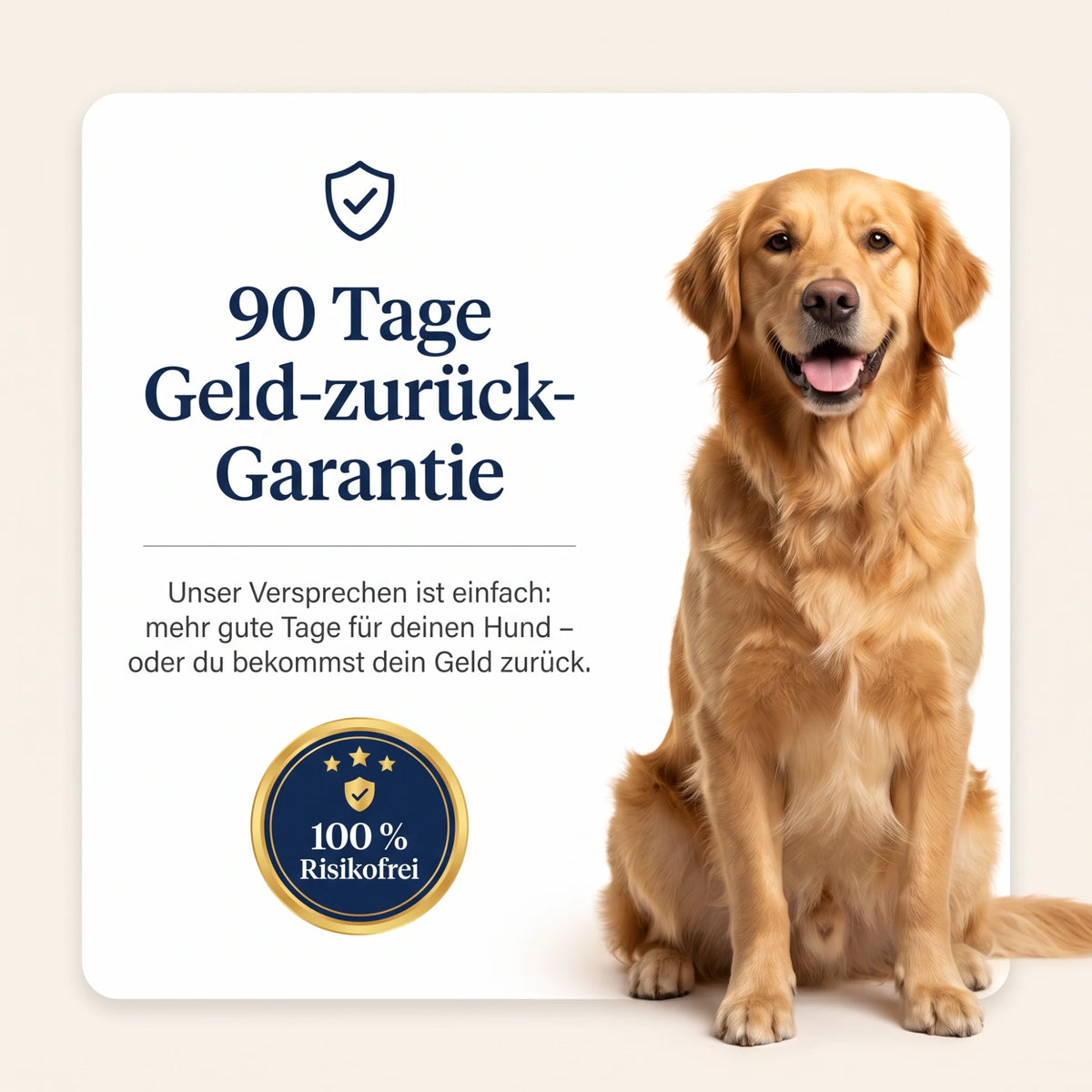 90 Tage Geld-zurück-Garantie