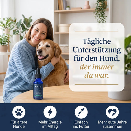 Tägliche Unterstützung für den Hund, der immer da war